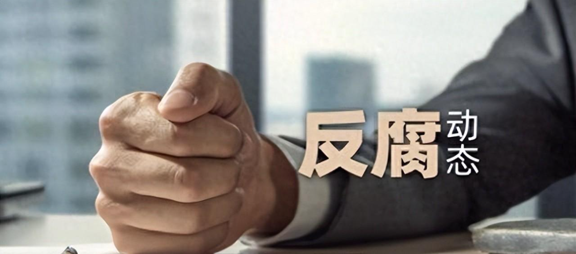 开云官网-李小林被查！铁血军魂不许玷污一声惊雷，又一只“老虎”应声落马